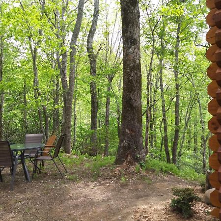 Two Rivers Cabins - The Mountaintop Brevard Esterno foto