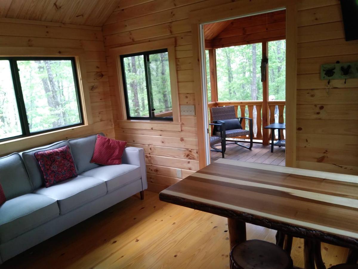 Two Rivers Cabins - The Mountaintop Brevard Esterno foto