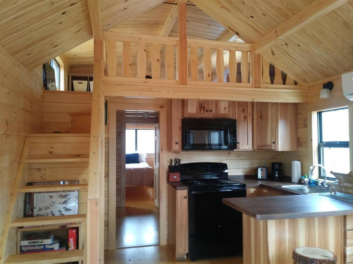 Two Rivers Cabins - The Mountaintop Brevard Esterno foto