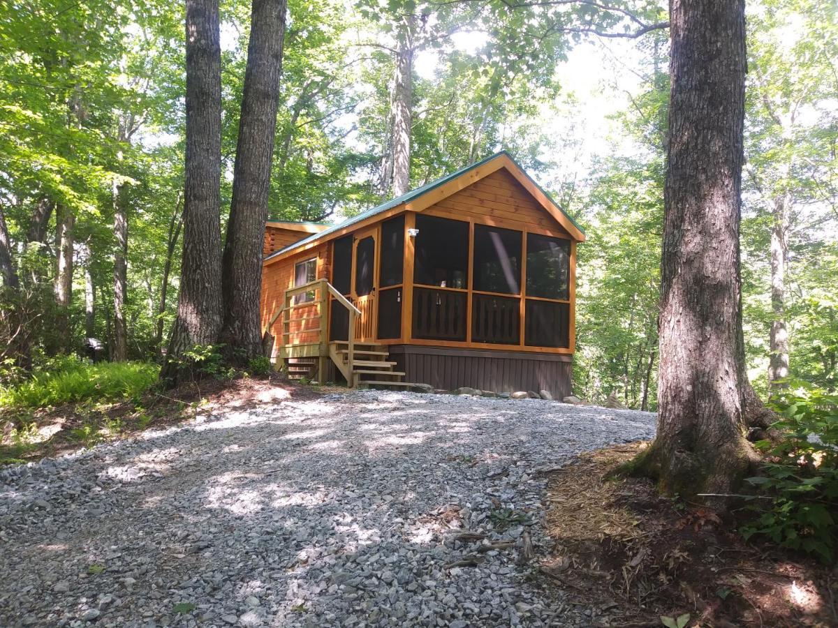 Two Rivers Cabins - The Mountaintop Brevard Esterno foto
