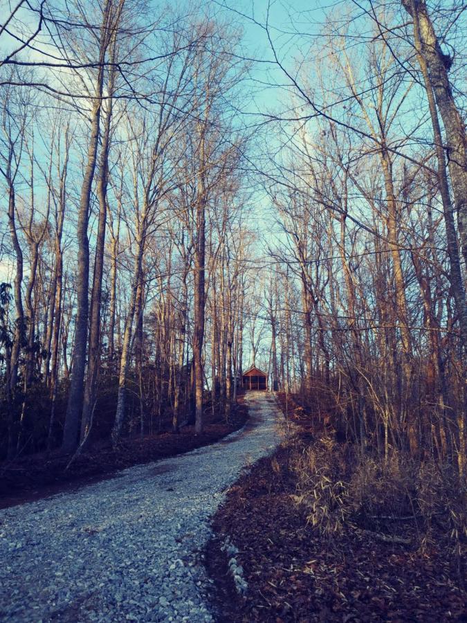 Two Rivers Cabins - The Mountaintop Brevard Esterno foto