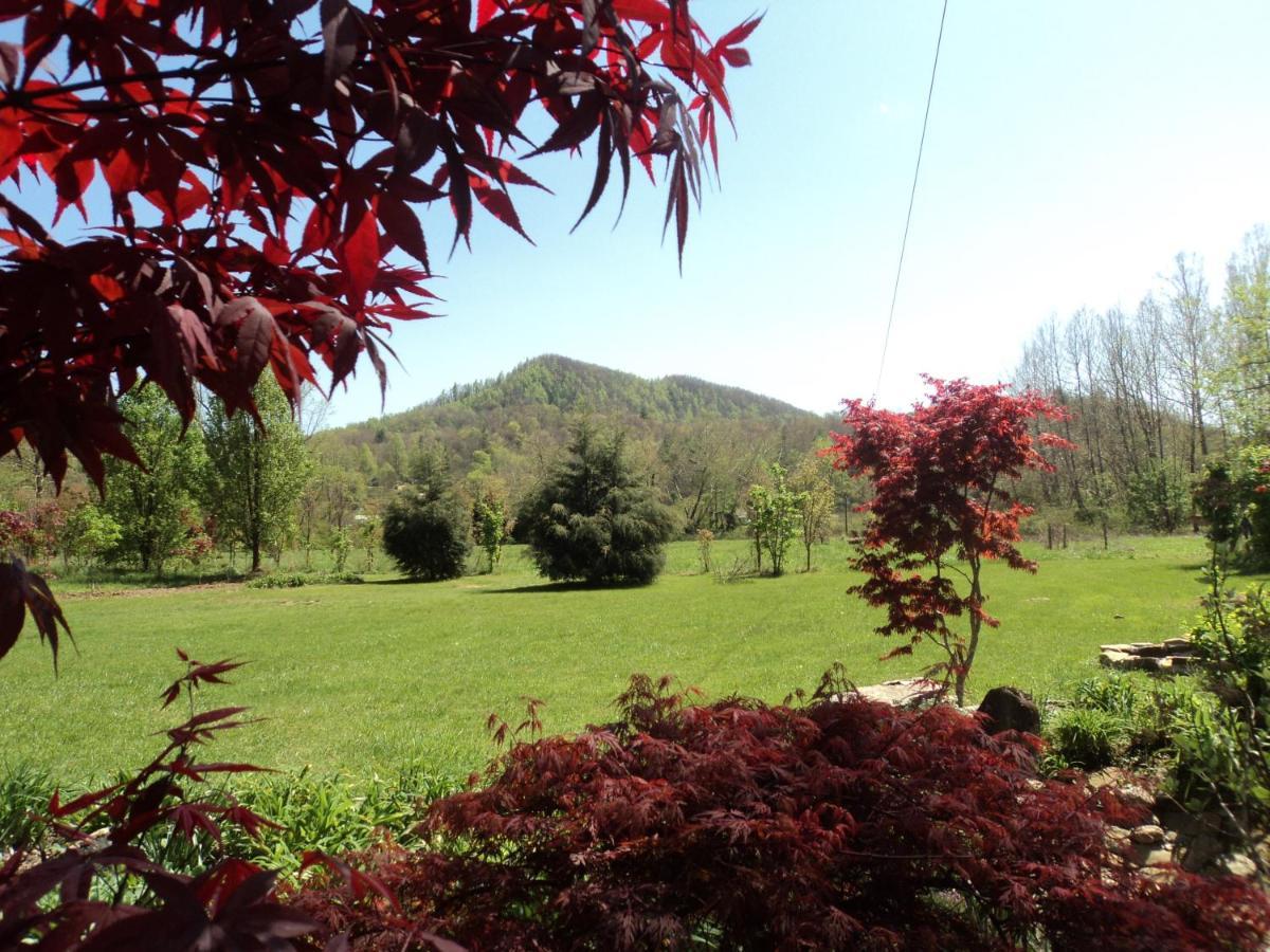 Two Rivers Cabins - The Mountaintop Brevard Esterno foto