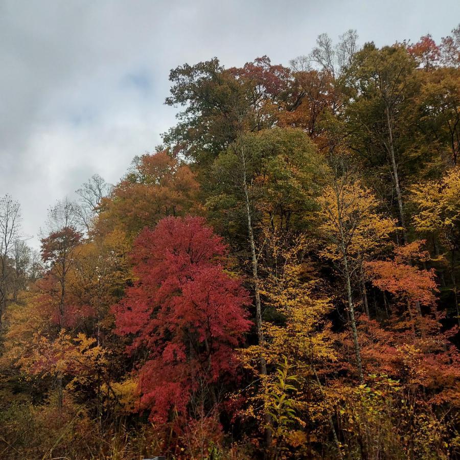 Two Rivers Cabins - The Mountaintop Brevard Esterno foto