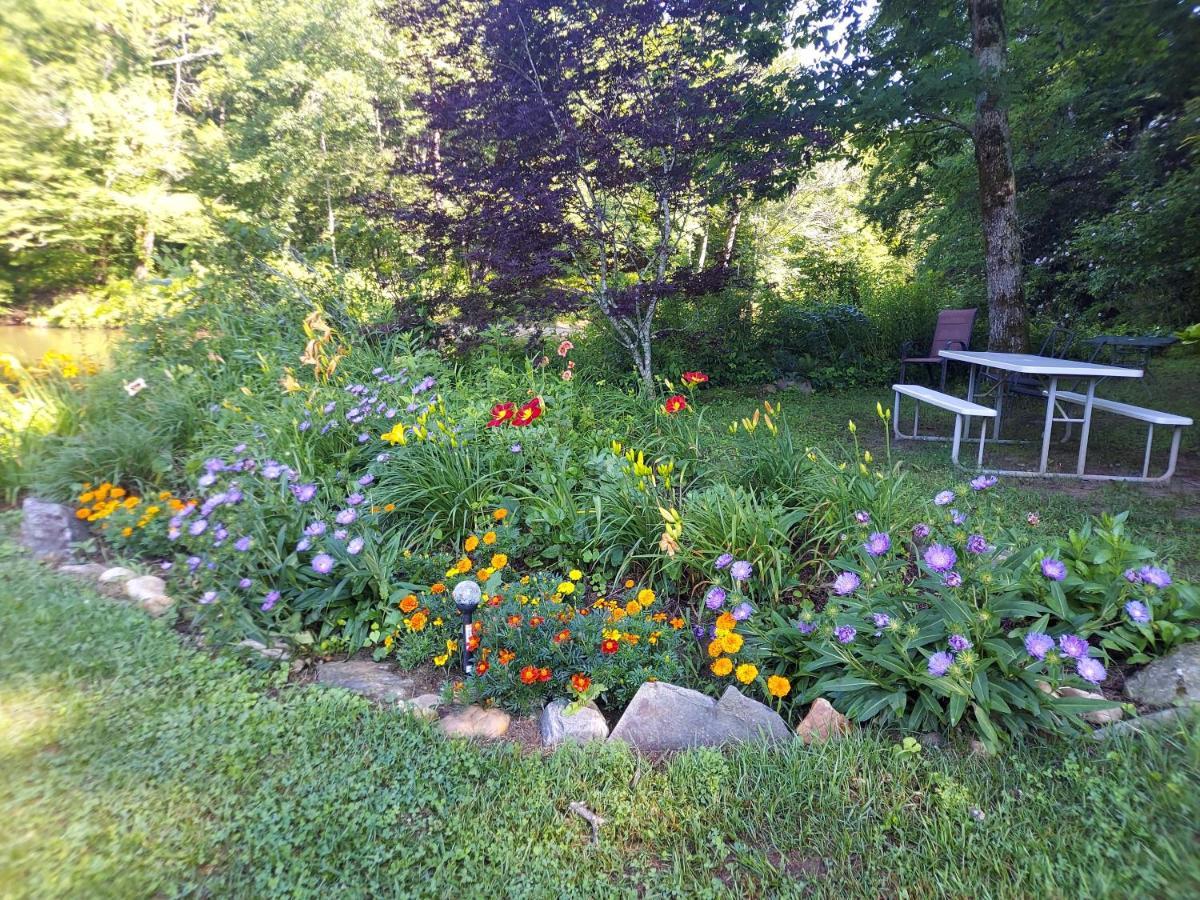 Two Rivers Cabins - The Mountaintop Brevard Esterno foto