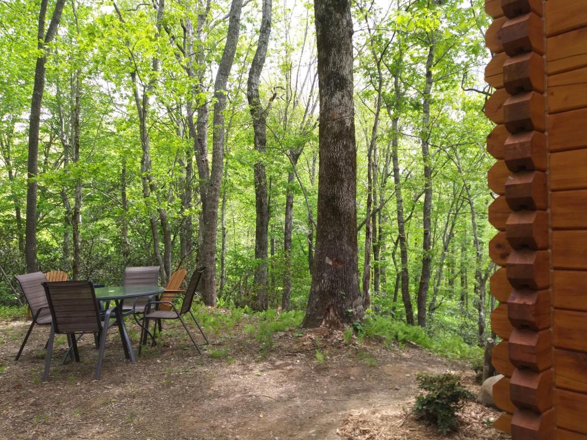 Two Rivers Cabins - The Mountaintop Brevard Esterno foto